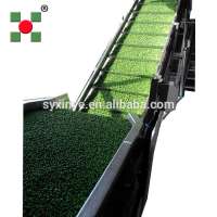 Frozen Green peas Production line green pea freezing processing line plant